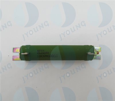 【台製】DDR30W100ΩJ